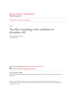 The effect of grinding on the acidulation of phosphate rock