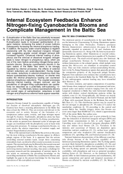 Internal Ecosystem Feedbacks Enhance Nitrogen-fixing
