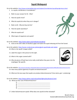 Squid Webquest - WordPress.com