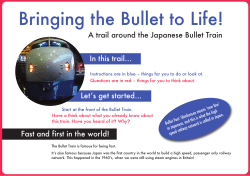 Bringing the Bullet to Life!
