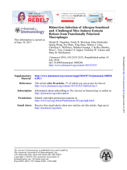 Rhinovirus Infection of Allergen-Sensitized
