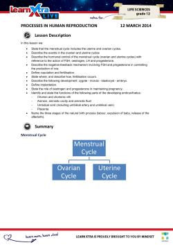 Menstrual Cycle Ovarian Cycle Uterine Cycle