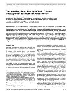 The Small Regulatory RNA SyR1/PsrR1 Controls