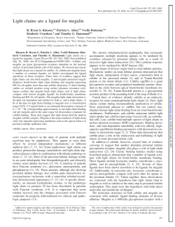 Light chains are a ligand for megalin