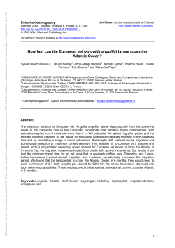 How fast can the European eel (Anguilla - Archimer