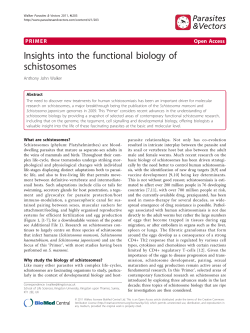 Insights into the functional biology of schistosomes
