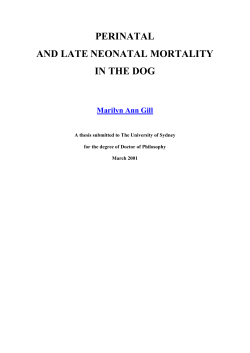 perinatal and late neonatal mortality in the dog