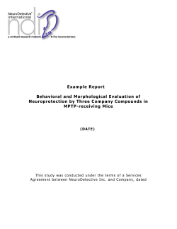 Example Report Behavioral and Morphological