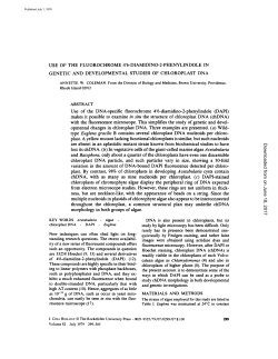 use of the fluorochrome 4`6-diamidino-2
