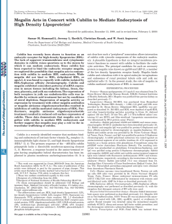 Megalin Acts in Concert with Cubilin to Mediate Endocytosis of High