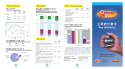 2006中期人口統計 主要統計數字 2006 Population By