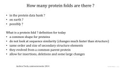 How many protein folds are there ?