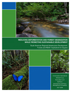 Avoiding Deforestation while Promoting Sustainable Development