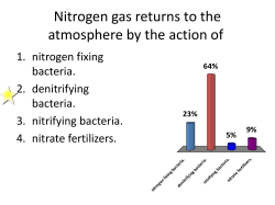 Nitrogen gas returns to the atmosphere by the action of