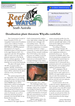 Desalination plant threatens Whyalla cuttlefish