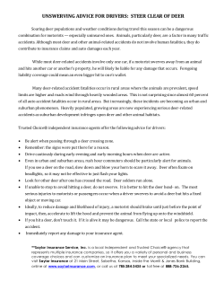 steer clear of deer - Saylor Insurance Service, Inc.