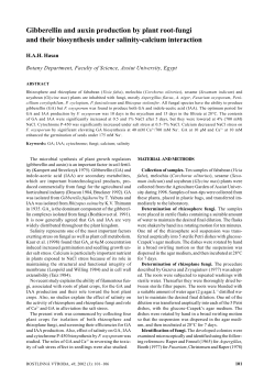Gibberellin and auxin production by plant root