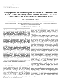 Embryoprotective Role of Endogenous Catalase