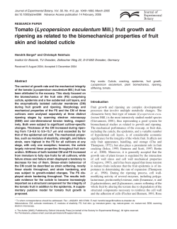 Tomato (Lycopersicon esculentum Mill.) fruit growth and ripening as