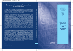 e professional accounting firm a literature review