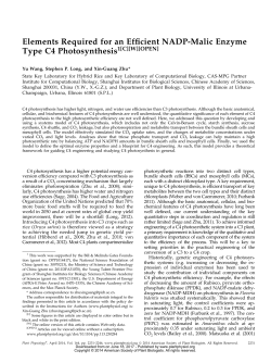 Elements Required for an Eficient NADP