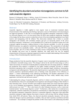 Identifying the abundant and active microorganisms