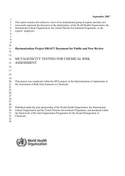 mutagenicity testing for chemical risk assessment