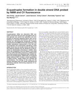 G-quadruplex formation in double strand DNA probed