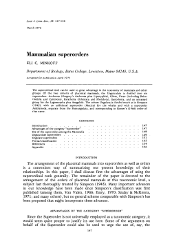 Mammalian superorders