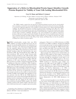 Suppression of a Defect in Mitochondrial Protein Import