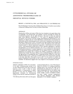 cytochemical studies of adenosine triphosphatases in skeletal