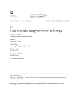 Nanoelectrodes: energy conversion and storage