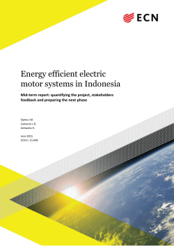 Energy efficient electric motor systems in Indonesia