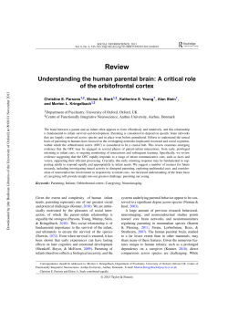 Review - Morten Kringelbach