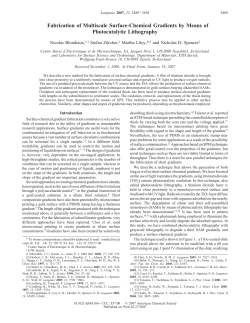 Fabrication of Multiscale Surface-Chemical Gradients by Means of