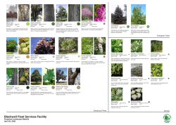 Proposed Landscape Material