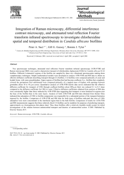 Integration of Raman microscopy, differential interference contrast