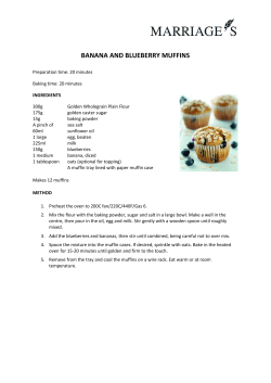 Blueberry Muffins - Golden Wholegrain