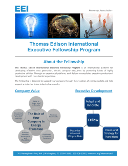 Thomas Edison International Executive Fellowship Program