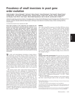 Prevalence of small inversions in yeast gene order evolution