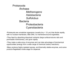 Lectures 1 - 3, Prokaryotes