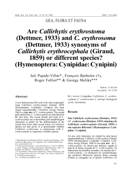 Are Callirhytis erythrostoma (Dettmer, 1933)