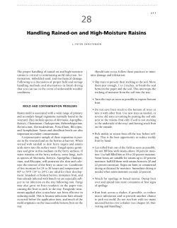 Handling Rained-on and High-Moisture Raisins