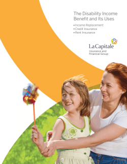 The Disability Income Benefit and Its Uses