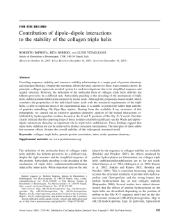 Contribution of dipole-dipole interactions to the stability of the