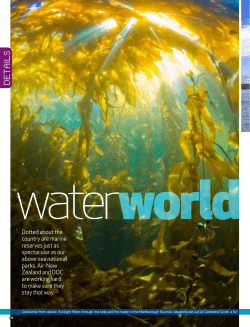 Marine reserves feature in Air New Zealand`s Kia Ora magazine
