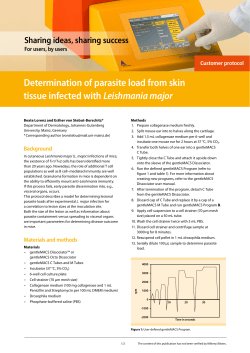 Isolation of Leishmania major from mouse skin