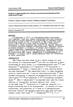 deoxyribo-12 nucleosides or P1-adenosine 5`-P