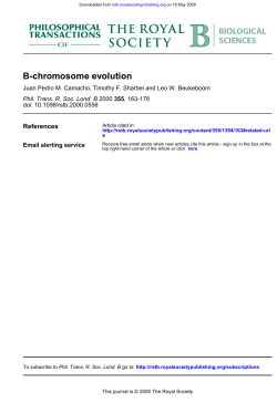 B-chromosome evolution
