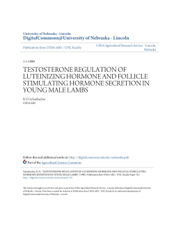 testosterone regulation of luteinizing hormone and follicle